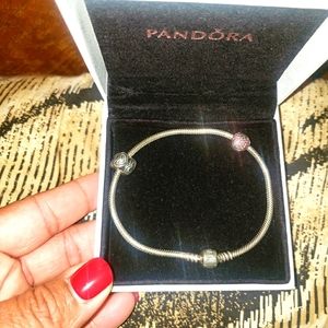 Pandora Charm Bracelet
